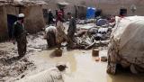 بلوچستان میں بارشوں نے آفت ڈھادی، مکانات اور فصلیں تباہ، ہلاکتیں 111 ہوگئیں
